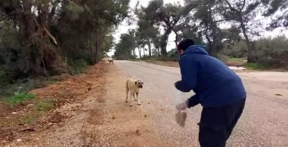 Hacı Ahmet Ünlü, sokak canlarını unutmadı