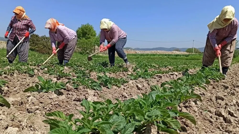 Borcu olmayan çiftçi kalmadı