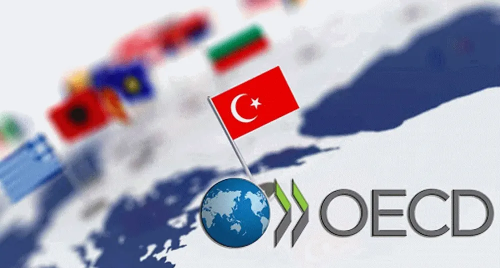 Türkiye, işsizlikte OECD ülkeleri arasında dördüncü