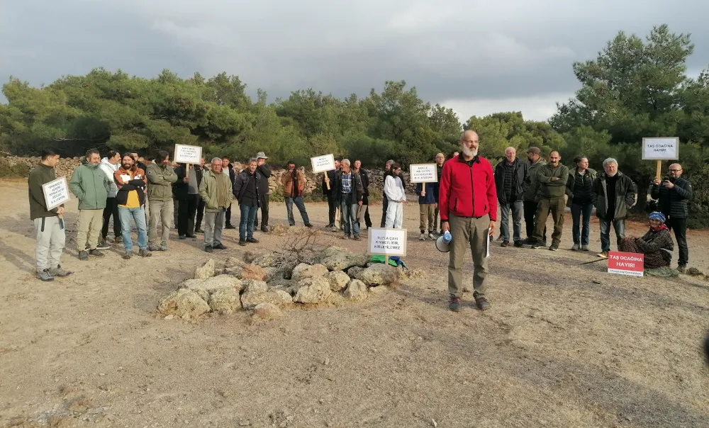 Dünyaca ünlü Assos’ta ağaç katliamı! 