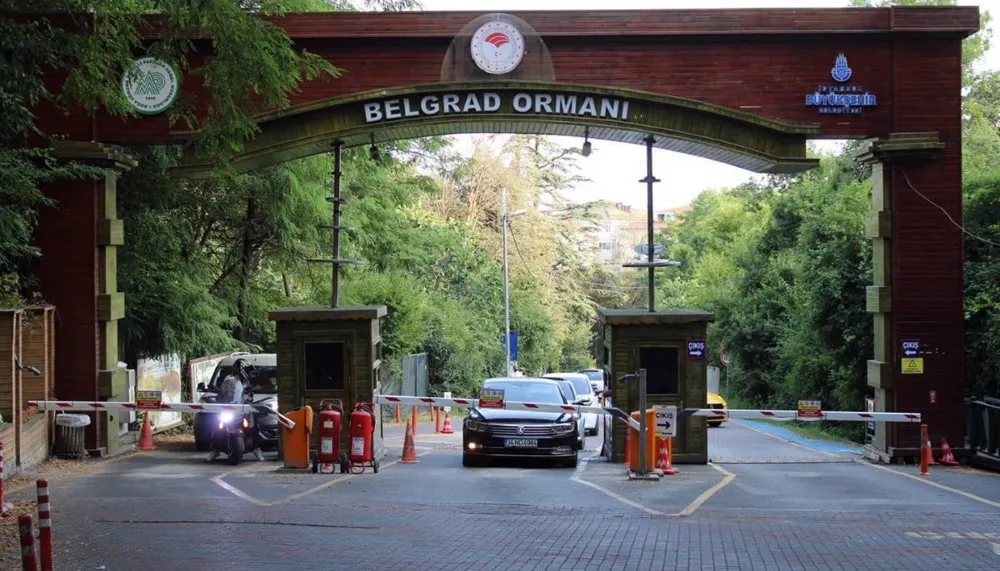 Belgrad Ormanı