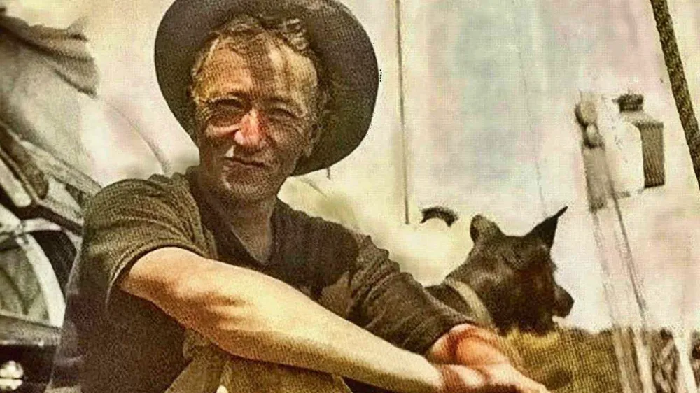 ‘Güzel Sanat Eserlerinde Telif Hakları