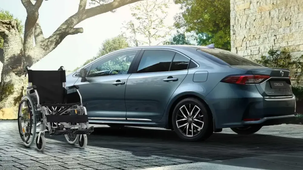 Danıştay, 10 yıllık 