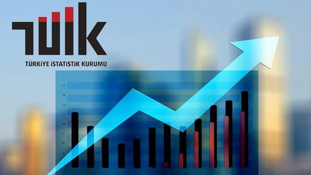 TUİK: 2024 yılı işsizlik oranı yüzde 8,7