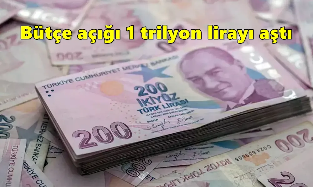 Vatandaşların ödediği vergiler faize gitti