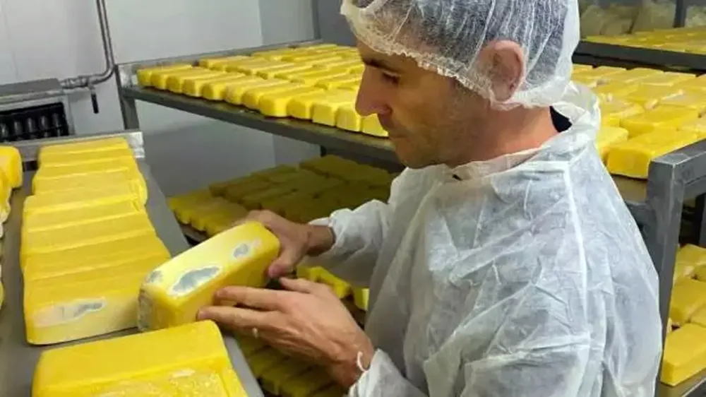 Yüzlerce paket küflenmiş tost peyniri bulundu