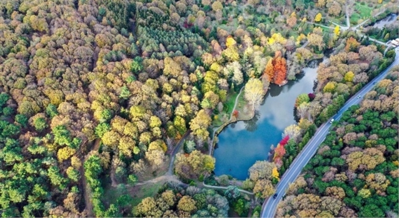 İstanbul Atatürk Arboretumu