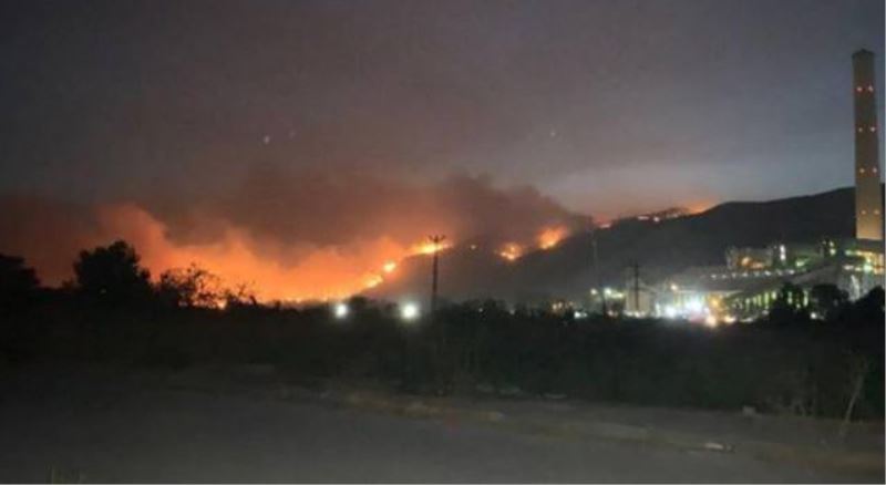 Orman yangını termik santrale ulaştı